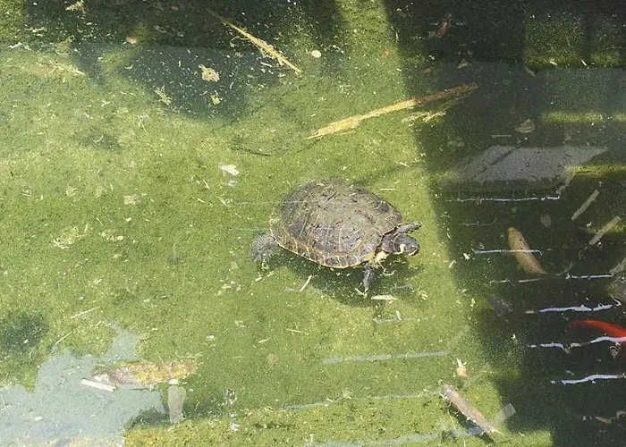 Quinta Moinho Do Monte *