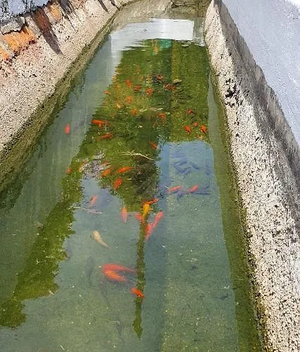 Holiday home Quinta Moinho Do Monte