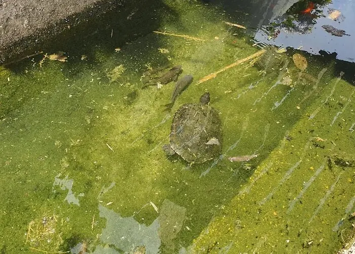 Holiday home Quinta Moinho Do Monte *